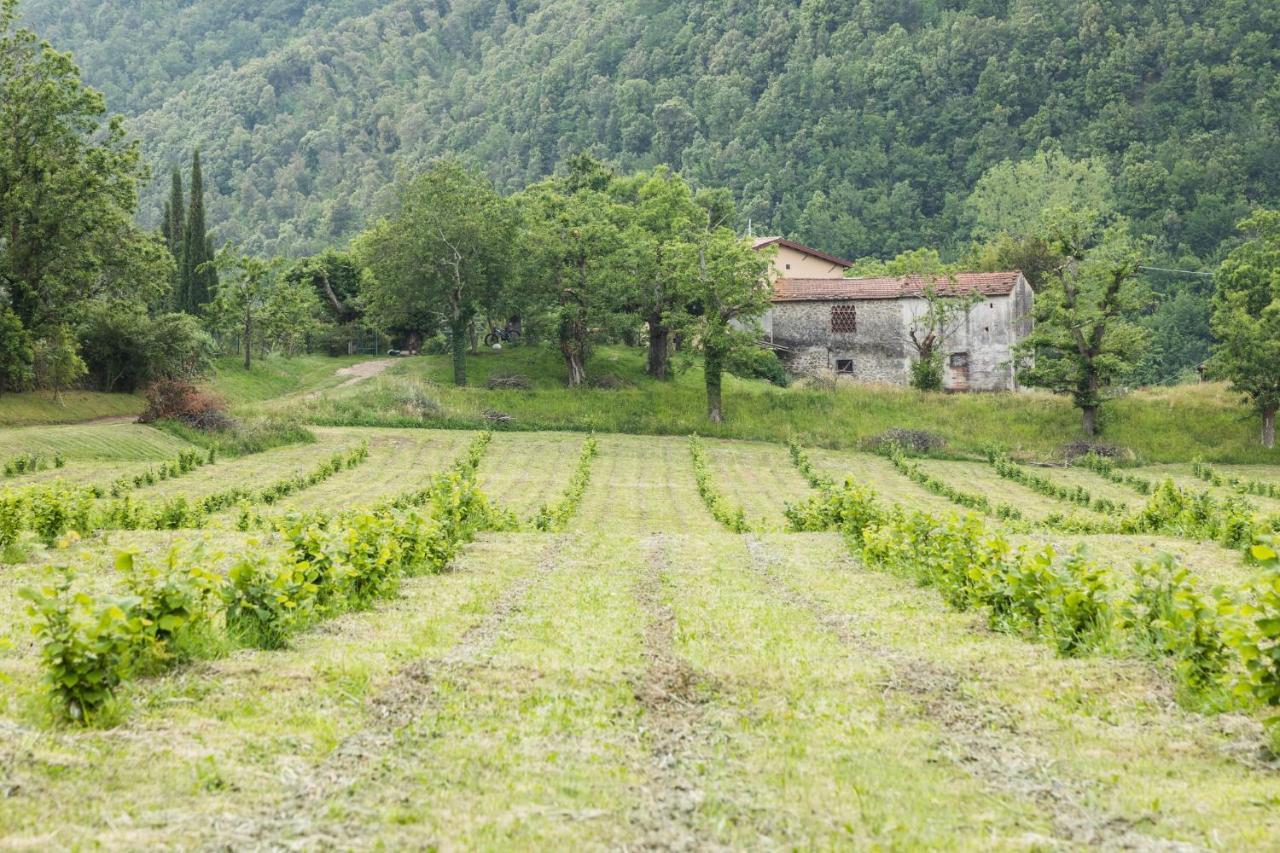 Podere Groppini Fivizzano Eksteriør billede