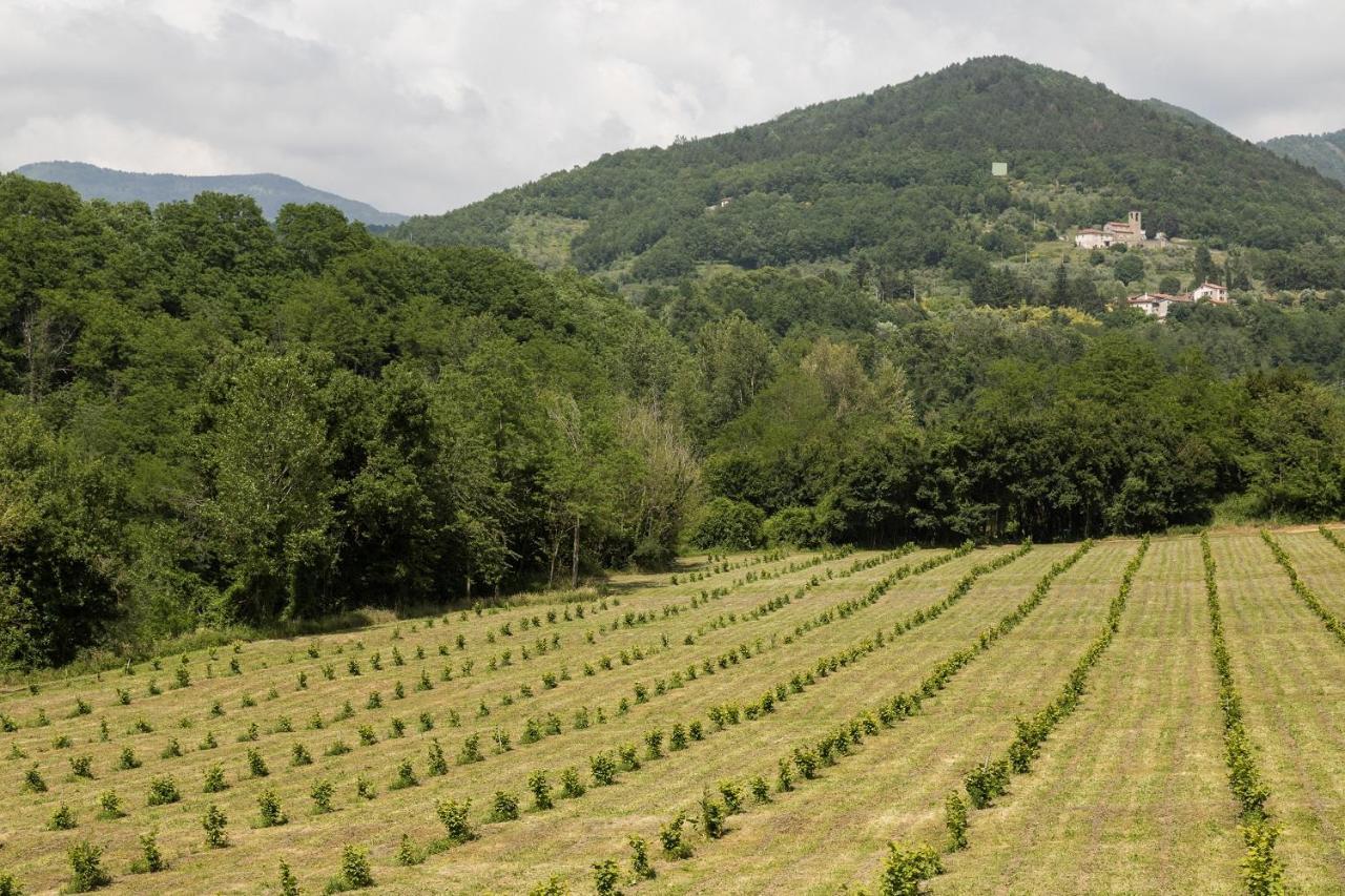 Podere Groppini Fivizzano Eksteriør billede